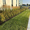 J Hassert Landscape Sample